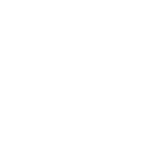 dallas-logo-white