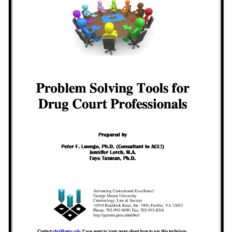 drugcourtdoc